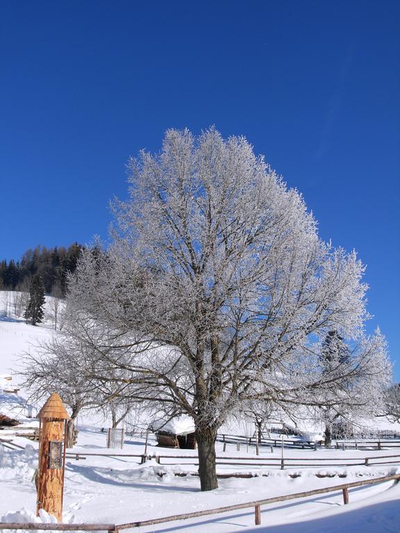 Romantikzimmer Jakobbauer Turnau Esterno foto